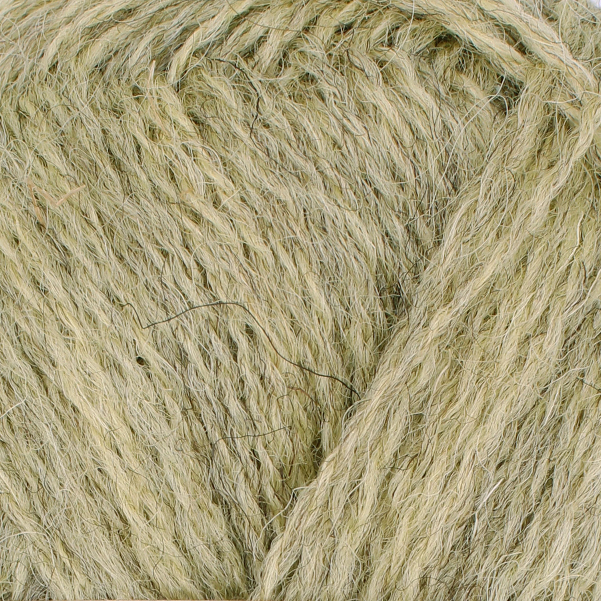 Baa Ram Ewe  - Pip Colourwork 100% Wool 4ply