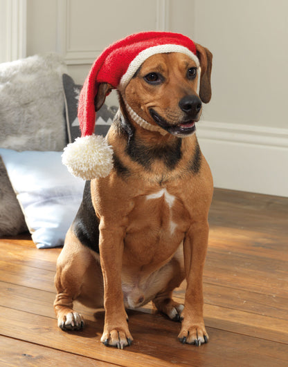 Dog Santa hat