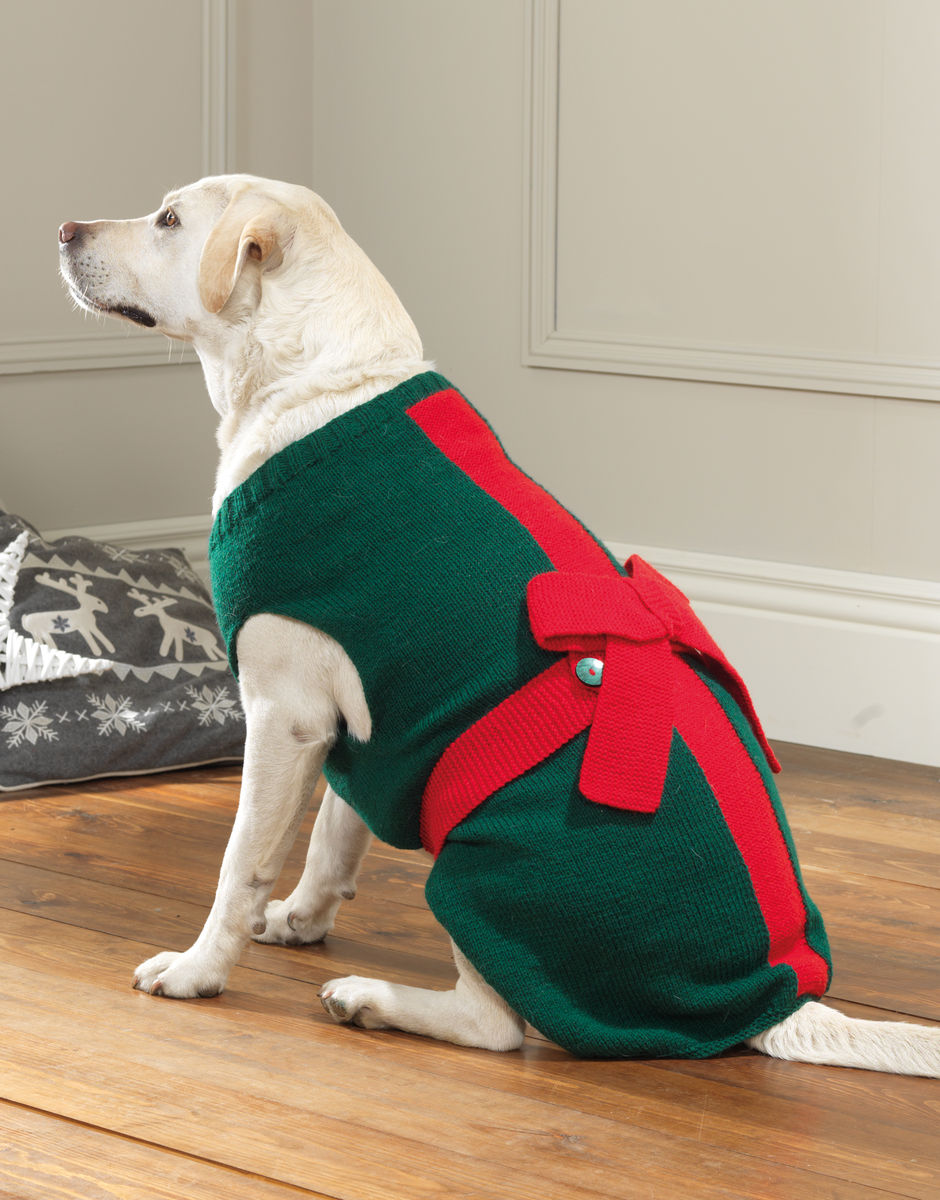 Dog present jumper