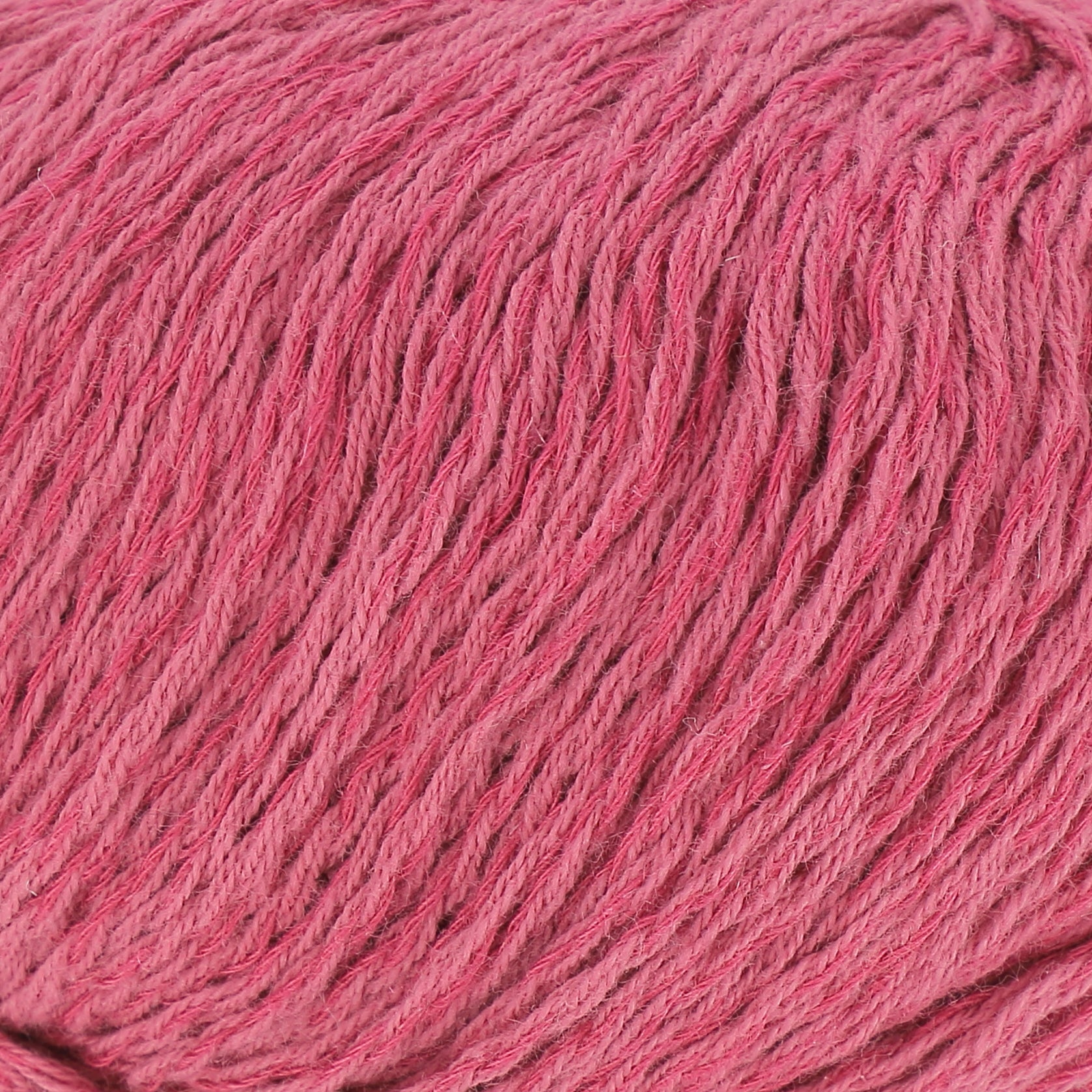 Raspberry - 5241