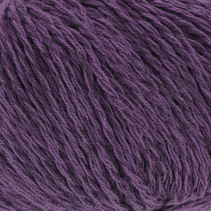 Damson - 5243