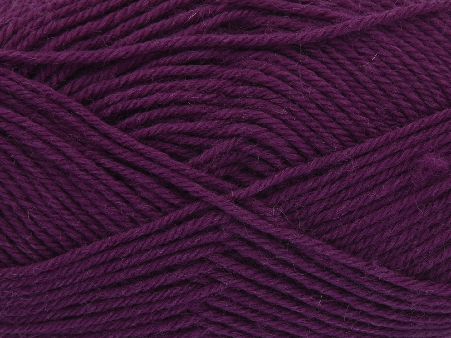 Blackcurrant - 3394